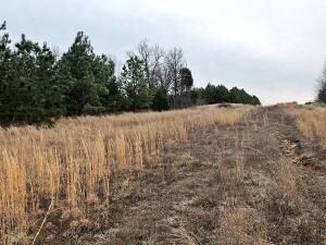 0 Lot 11 Nc 1502 unit H141177, Compton, AR 72624 - photo 5