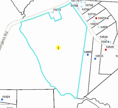 Burgess Road Property