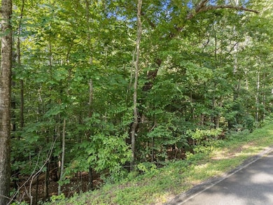 0 Kings Rd unit 7620591, Gainesville, GA 30506 - photo 7