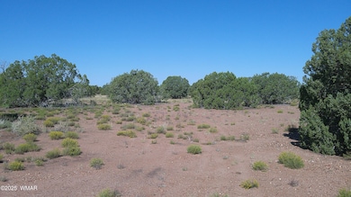 4434 Indian Bend Rd, Snowflake, AZ 85937 - photo 6