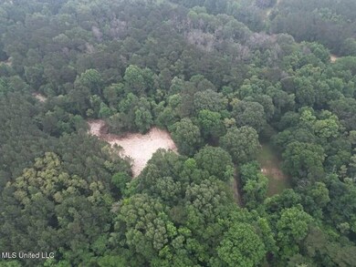 4 Old Hamburg Rd, Roxie, MS 39661 - photo 7