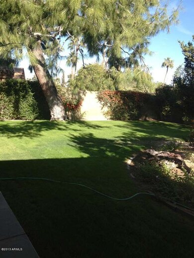 35th Backyard Grass Area