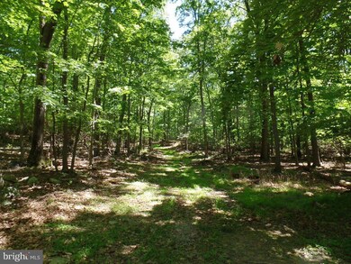 Etzler Map 56 Parcel Etzler Rd, Frederick, MD 21702 - photo 5