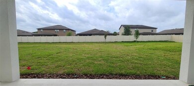 Huge Backyard