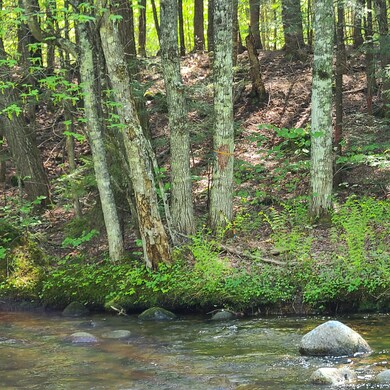 Sawyer Brook frontage