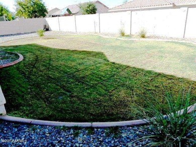 Grassy backyard
