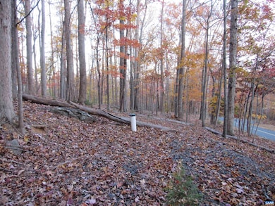 10 Rodes Valley Dr, Nellysford, VA 22958 - photo 2