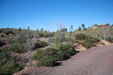 6250 Bull Elk Run unit 314, Show Low, AZ 85901 - photo 2
