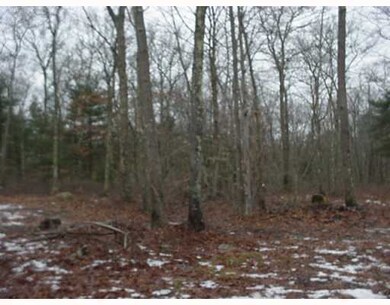 241 Fairview Ave, Rehoboth, MA 02769 - photo 4