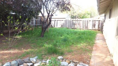 back yard 2