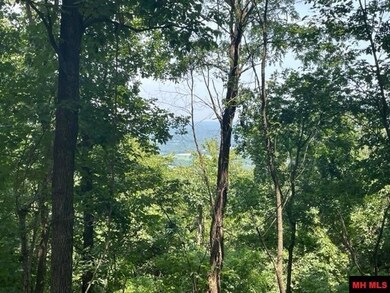 3721 Thousand Oaks Dr, Yellville, AR 72687 - photo 7