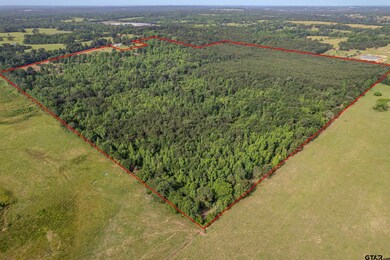 0 Cr 345 unit 25007450, Winona, TX 75792 - photo 2