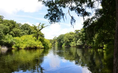 242 SW Santa fe Dr, Fort White, FL 32038 - photo 2