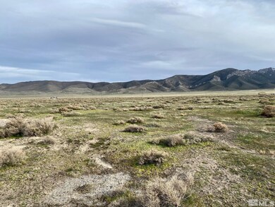 00836020 Kings View Rd, Imlay, NV 89418 - photo 3