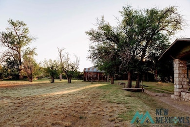 1301 N Canal St, Carlsbad, NM 88220 - photo 4