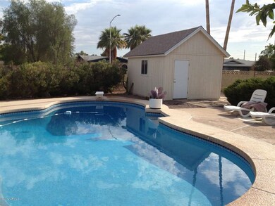 Pool and separate shed