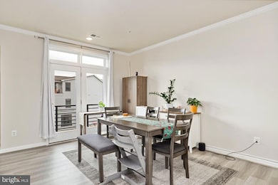 1010 Ribbon Limestone Terrace SE, Leesburg, VA 20175 - photo 4