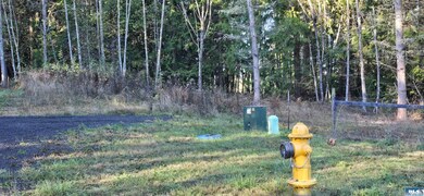 Lot 4 Lunderville Ln, Port Angeles, WA 98362 - photo 3