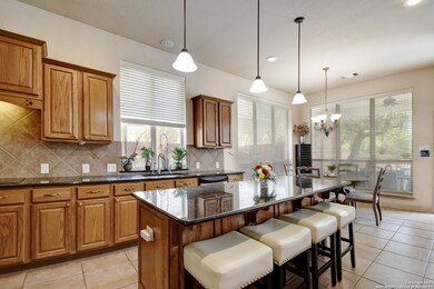 15814 Hachita Blanco, Helotes, TX 78023 - photo 6