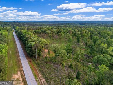 0 Georgia 100 unit 10646369, Franklin, GA 30217 - photo 2