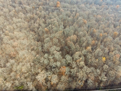 0 Highway 27 unit 1513626, Whitwell, TN 37397 - photo 3