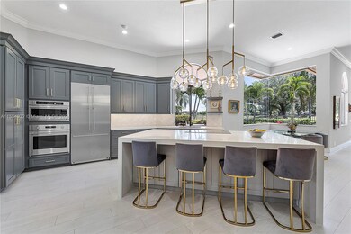 High-End Appliances/ Upper & Lower Cabinet Lighting