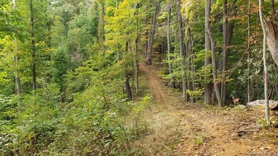 000 Briar Ridge Rd, Ramseytown, NC 28714 - photo 4