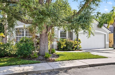 8853 Cypress Hammock Dr, Tampa, FL 33614 - photo 3