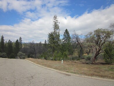 0 Hard Times Ranch unit 628016, North Fork, CA 93643 - photo 2