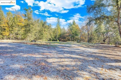 22919 Lazy Z Ln, Sonora, CA 95370 - photo 3