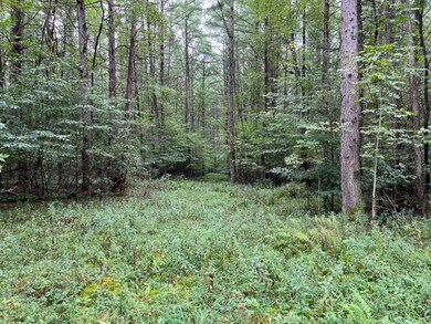 00 Buckley Rd Lot unit WP001, Grand Valley, PA 16420 - photo 2