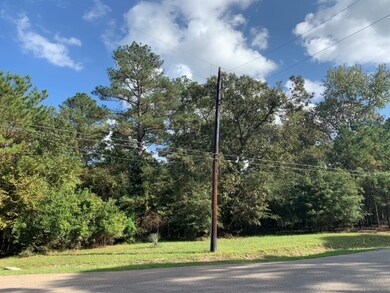 1828 Country Creek Ct, Magnolia, TX 77354 - photo 6