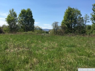 201 Cemetery Rd, Clermont, NY 12526 - photo 6