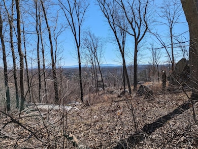 10688 Pine Hill Rd, Mc Donald, TN 37353 - photo 5