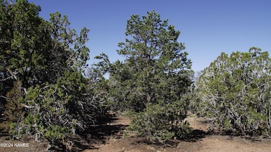 837 E Jackpine Ln unit 47, Williams, AZ 86046 - photo 6