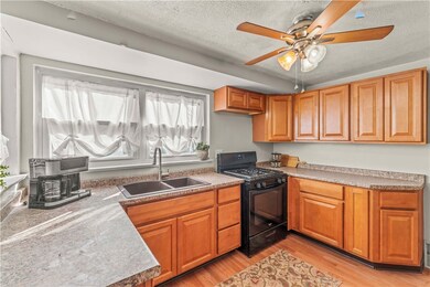 Kitchen from the kitchen  door