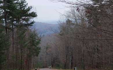 LT 30 Saw Blade Ln, Ellijay, GA 30540 - photo 3