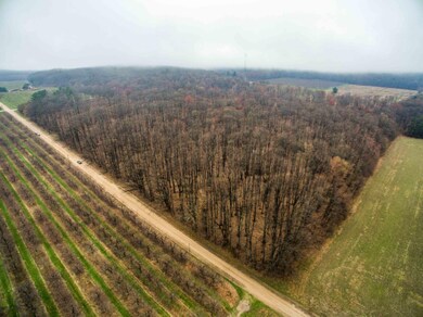 DJI_0045-5