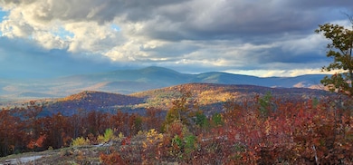 20231028_163619 (1) (1)