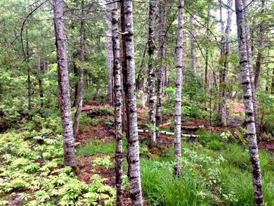 Timber