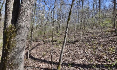 29275 Buffalo Hunt Ridge Rd, Proctor, OK 74457 - photo 5