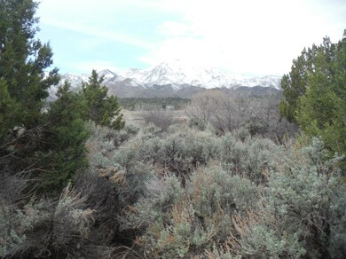 View of Pine Valley Mountains to west