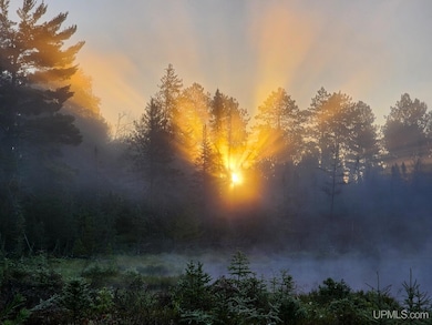 2920 Bywater Ln, Republic, MI 49879 - photo 2