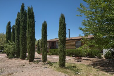 Lovely trees out front