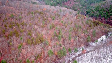 21555 Overly Hollow Rd, Plains, VA 22811 - photo 4