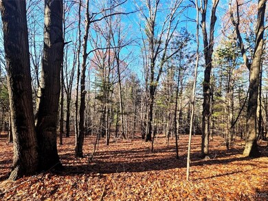 0 Two Rod Rd, Bath, NY 14810 - photo 5