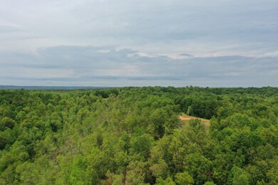 0 Hurricane Creek Rd unit 2153987, Linden, TN 37096 - photo 7