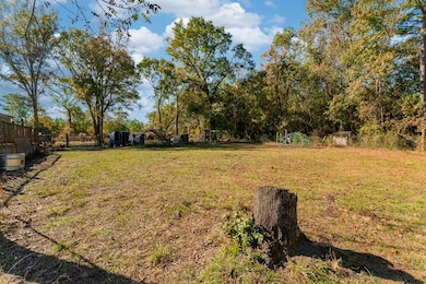 1657 North St, Ray City, GA 31645 - photo 6