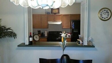 Pass Through Counter to Kitchen