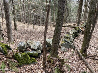 unlisted-address, Cummington, MA 01026 - photo 6